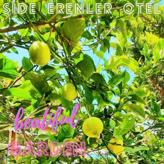 Side Erenler Hotel Экстерьер фото